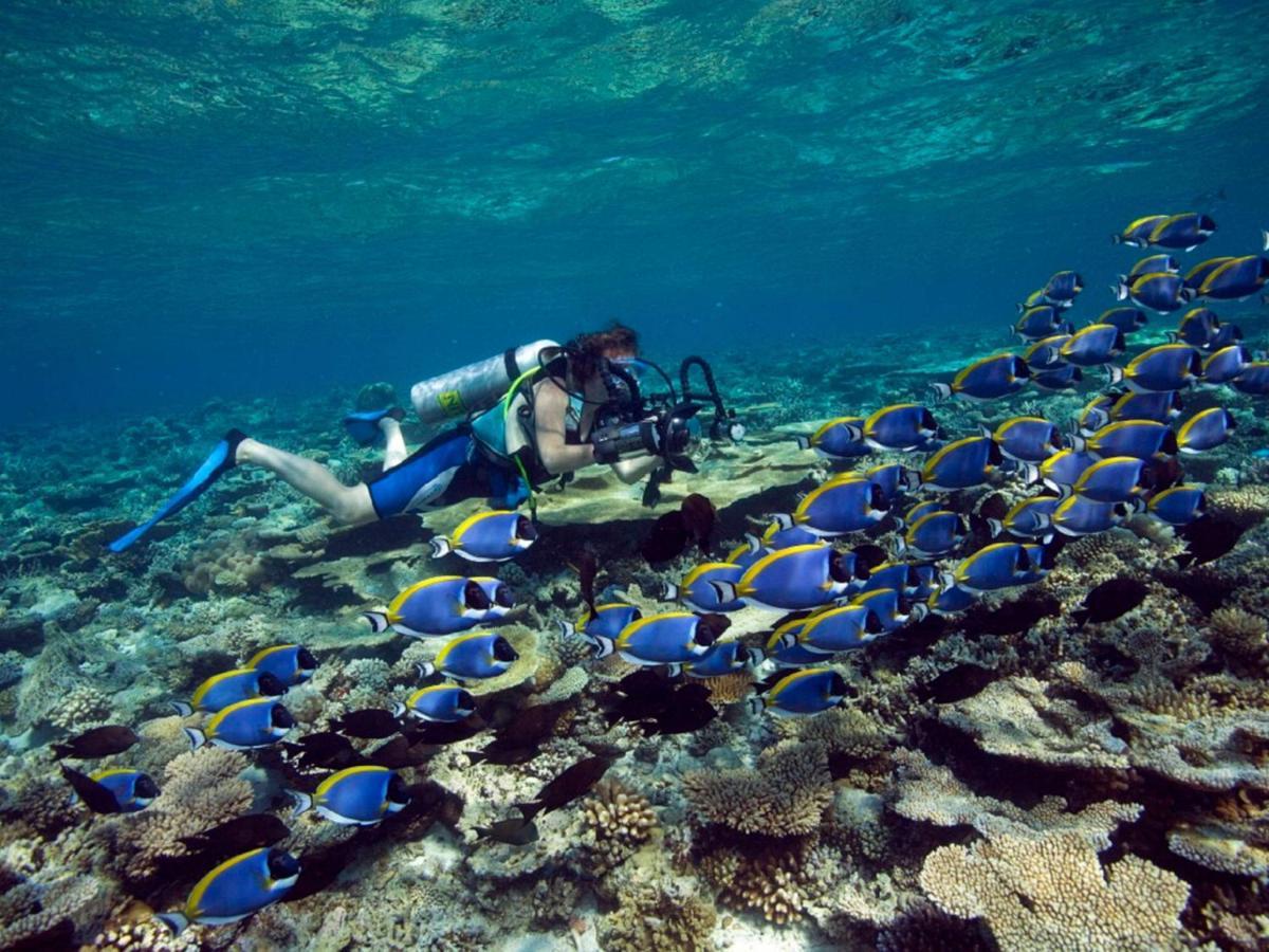 Resort Dhawa Ihuru - With Free Transport Angsana Island